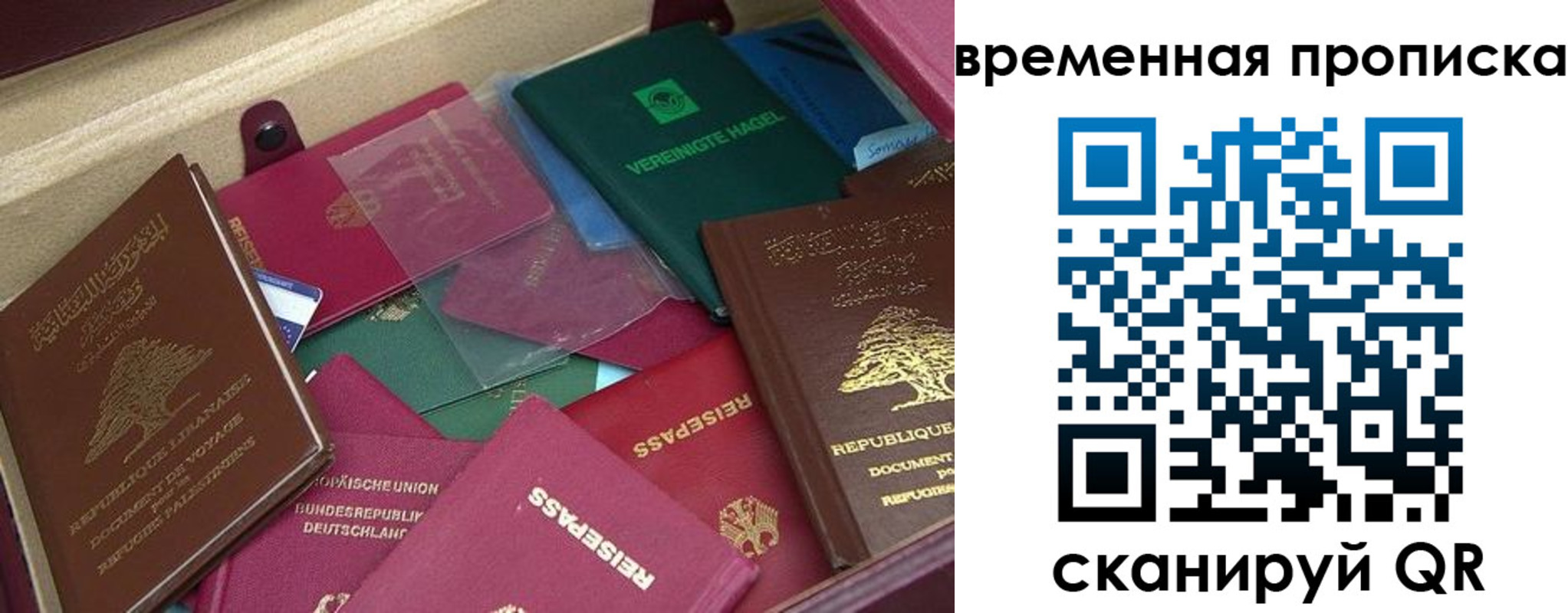 прописка в Ряжске